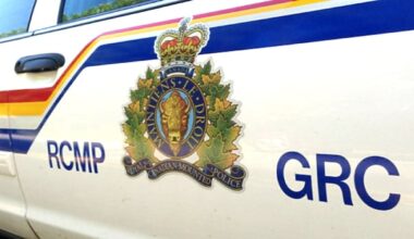 Youth has life-threatening injuries after dog attack in southwest Nova Scotia