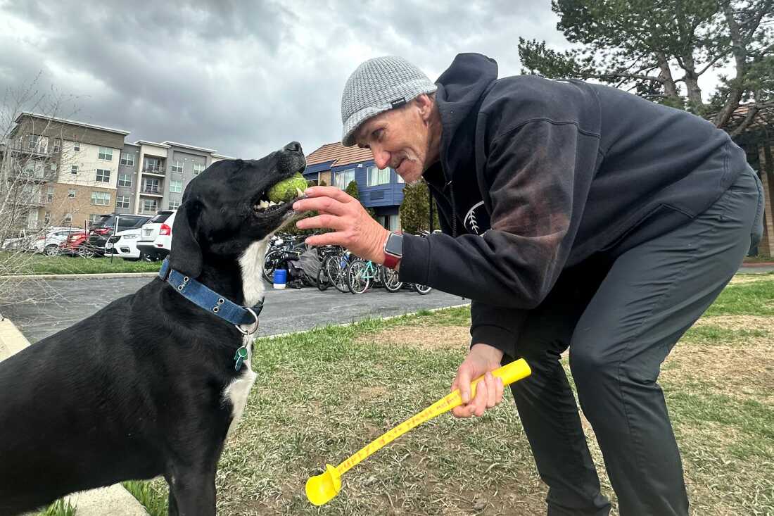 Jeff Gregg bends down, with his back hunched over, as he reaches for a tennis ball that's in the mouth of his dog, Ruffy, whose fur is mostly black, with a bit of white fur at the front of the neck.