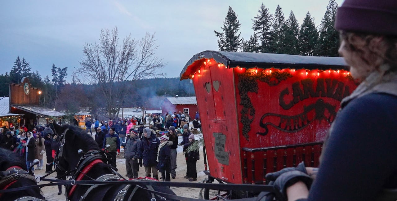 Woman driving a carriage 