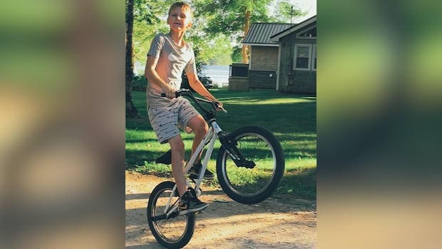 Investigation into dog attack that killed N.S. boy continuing, RCMP say