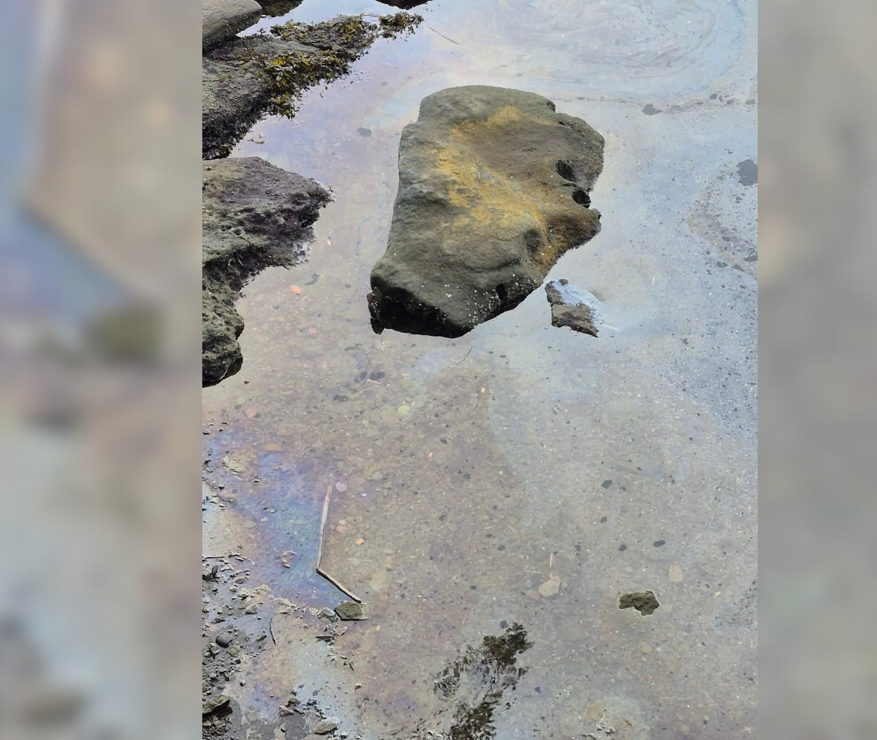 A visible oil sheen near rocks.