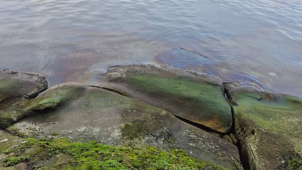 Oil spill reported near Nanaimo, B.C., ferry terminal