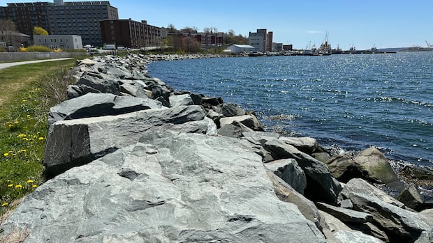 Halifax asks court to scrap provincial conditions for Dartmouth Cove infill rules