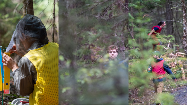 Researchers hunt each other in the Quebec wilderness — for science, of course