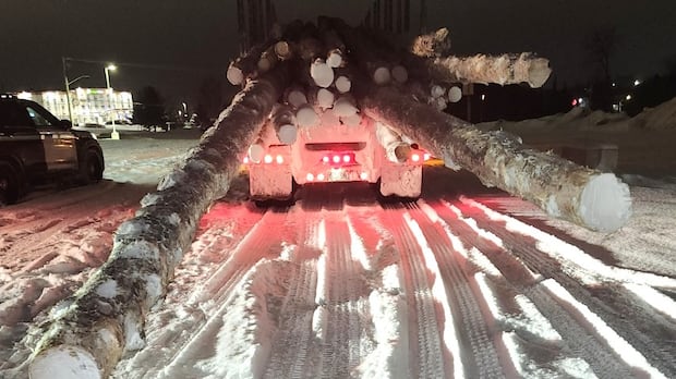 Long log load leads to charges for trucker, owner