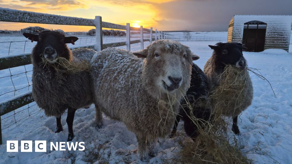 Photographs from around the country