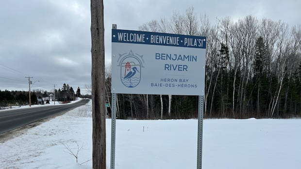 3 people dead after head-on crash between car and transport truck on Route 11