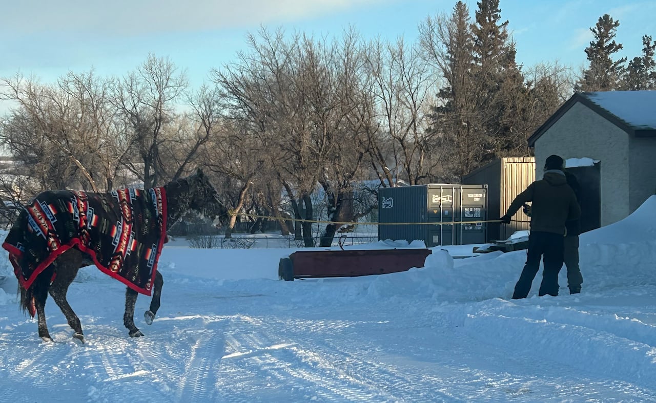 A man leads a horse covered with a blanket over a snowy road toward a building.
