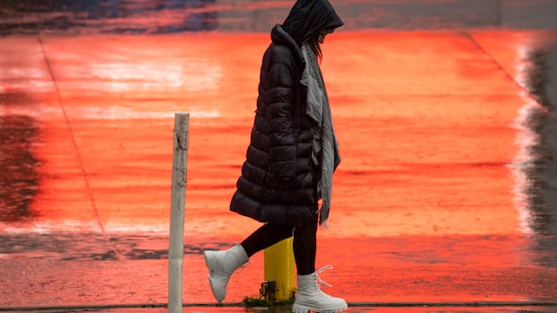 High streamflow advisory issued for B.C. coast as atmospheric rivers expected