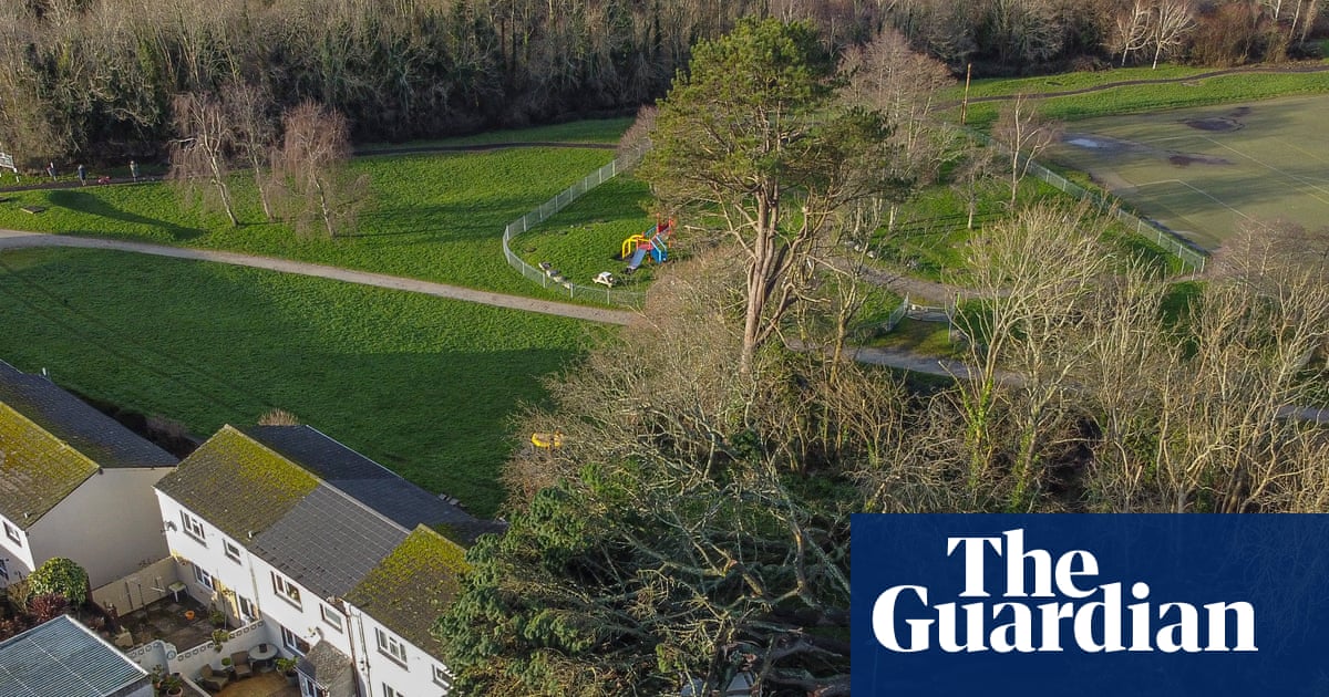Man dies after tree felled by Storm Goretti hits caravan in Cornwall | Cornwall