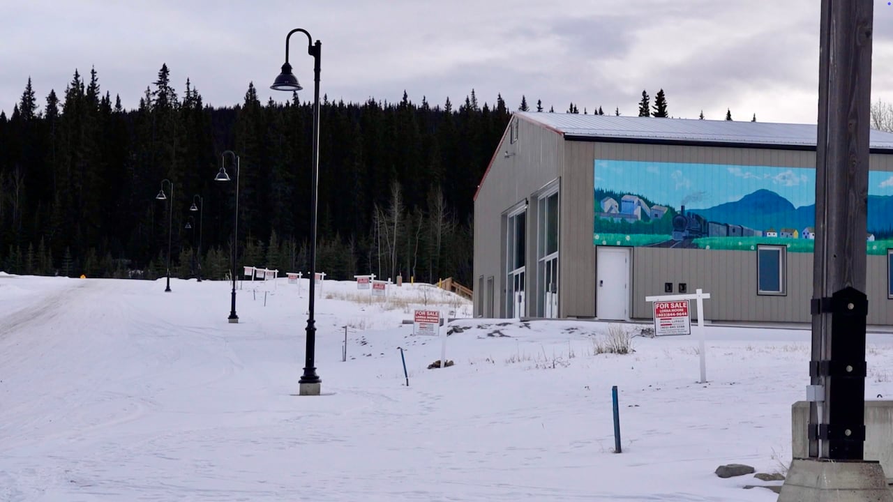 Street lamps alongside a snowy road.