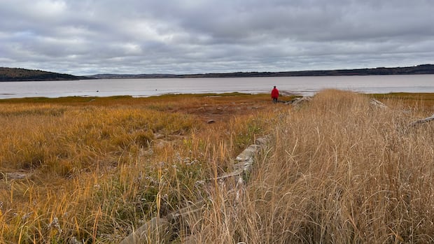 An Albert County wharf's link to the beginnings of public broadcasting in Canada