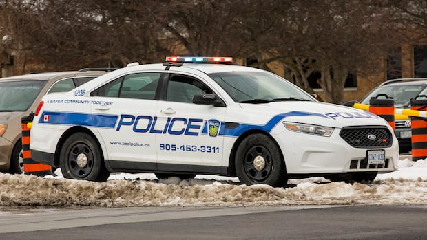 Woman dead after struck by fallen tree branch: Peel police