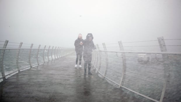 Evacuation alert issued near Chilliwack River as atmospheric river batters B.C.