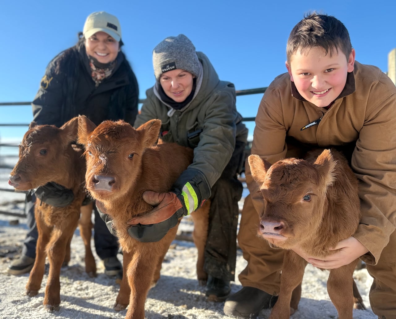 Two ladies and a young man hold three reddish brown calves