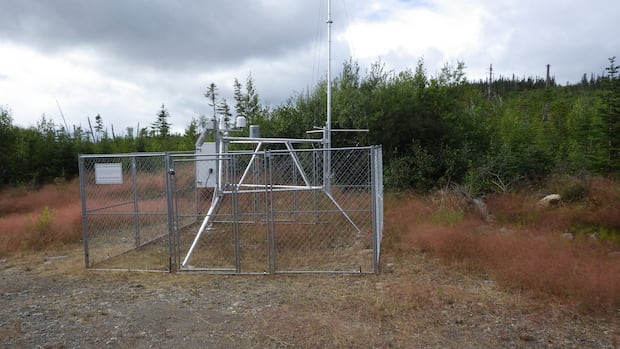 N.L. 'bolstering' wildfire monitoring abilities with 13 new weather stations
