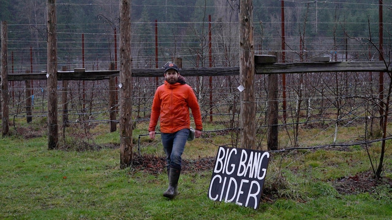 Rombough walks in the apple orchard.