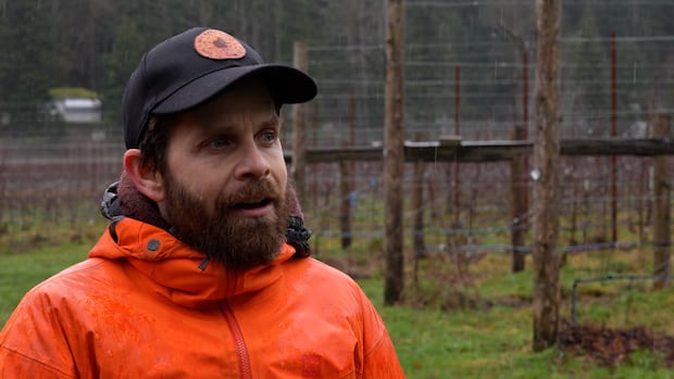 Nanaimo, B.C., cidery facing possible tax hike following property reclassification