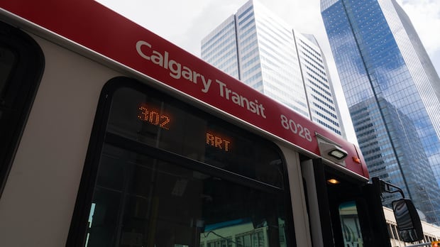 Calgary Transit crime crackdown highlights safety problem, union says
