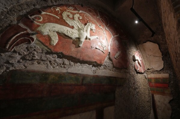A detail of the griffins that decorate the newly-restored underground House of Griffins, dated between the II and I century B.C., on the Palatine Hill next to the Colosseum, is seen during a guided tour for the press, in Rome, Tuesday, Jan. 13, 2026. (AP Photo/Andrew Medichini)