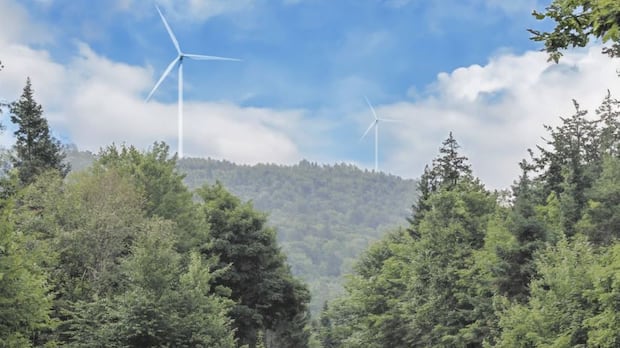 Big industry seeks exit from N.B. Power grid