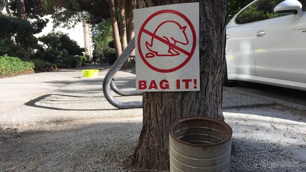 Which Vancouver neighbourhood sees the most dog poop complaints? New data revealed