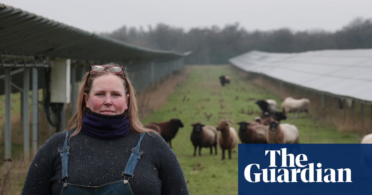Solar grazing: ‘triple-win’ for sheep farmers, renewables and society or just a PR exercise for energy companies? | Solar power