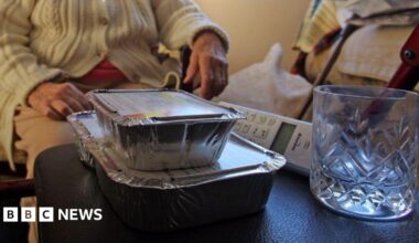 A collection of monstera plants in grey pots with a woman spraying them with water