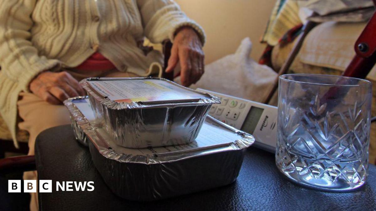 A collection of monstera plants in grey pots with a woman spraying them with water