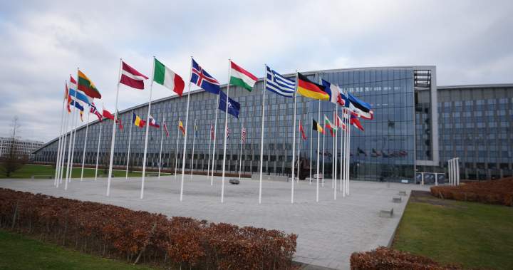 Why a U.S. attack on Greenland would mean the ‘end’ of NATO - National