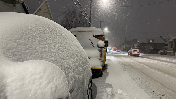 Schools in Hamilton, Niagara areas closed, roads impacted after major snowfall