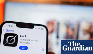 Grok scandal highlights how AI industry is ‘too unconstrained’, tech pioneer says | AI (artificial intelligence)