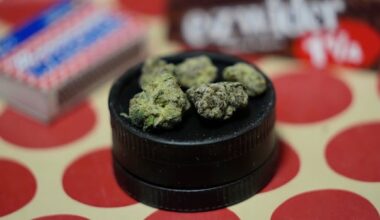 Province won't explain how it determined there are 118 illegal cannabis dispensaries in N.S.