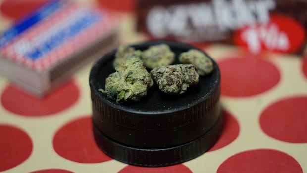 Province won't explain how it determined there are 118 illegal cannabis dispensaries in N.S.