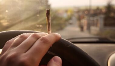 Additional Winnipeg officers to be deployed in effort to crack down on drug-impaired drivers