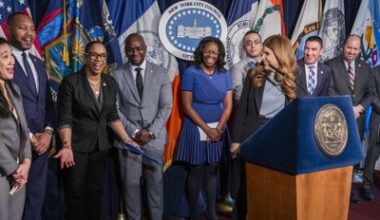 This term’s New York City Council Committees have dropped