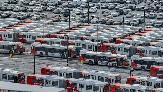 OC Transpo temporarily cuts 255 trips from schedule amid bus shortage