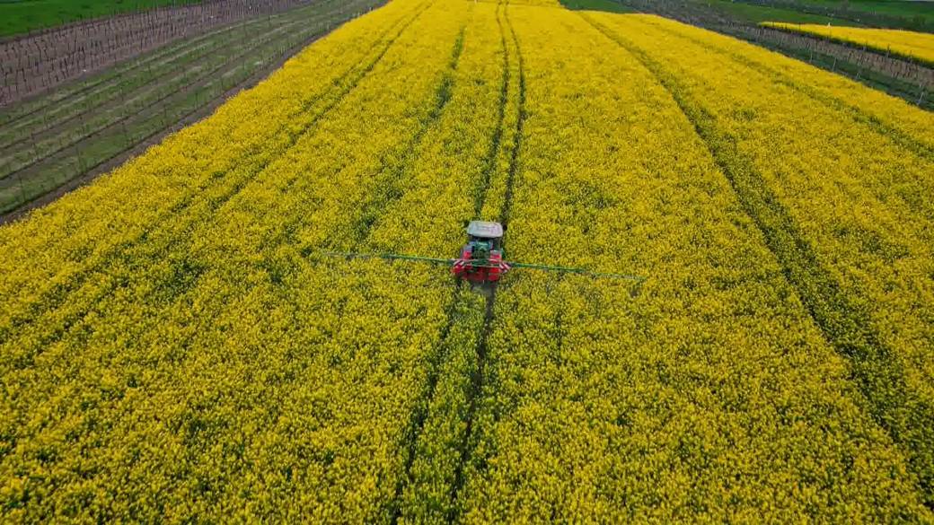 Click to play video: 'Canada’s canola producers watching as Carney heads to China for trade talks'