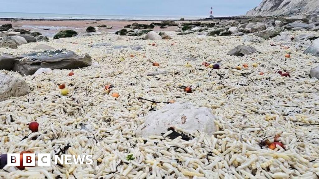 Chip wreck! Thousands of chips wash ashore near Eastbourne