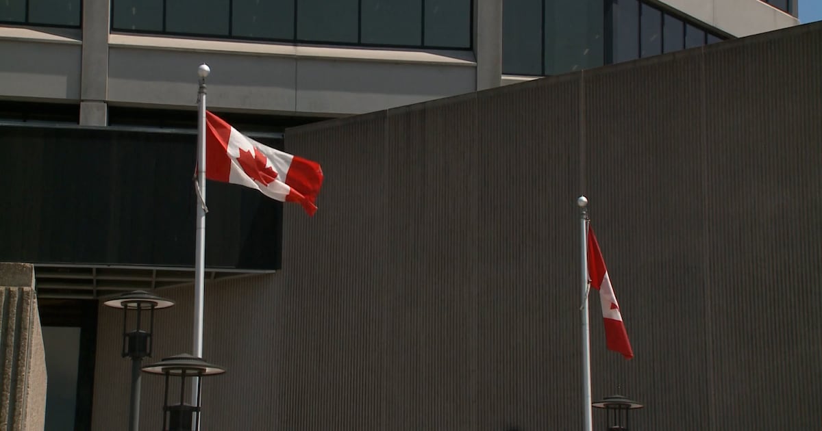 Canada’s immigration system is in crisis, lawyers’ association says – CP24