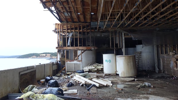 Due diligence being done before removing decades-old fish sauce from damaged plant, minister says