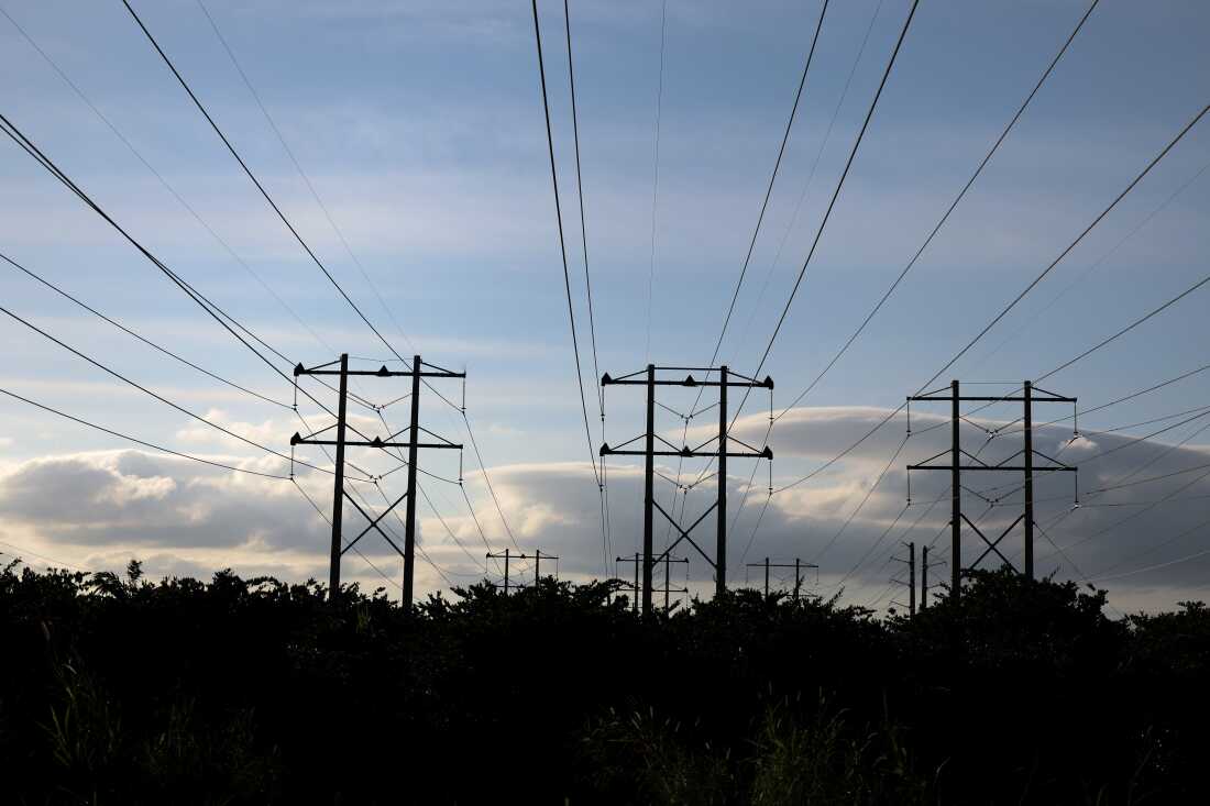 High-voltage power lines are pictured  in Miami, Fla.