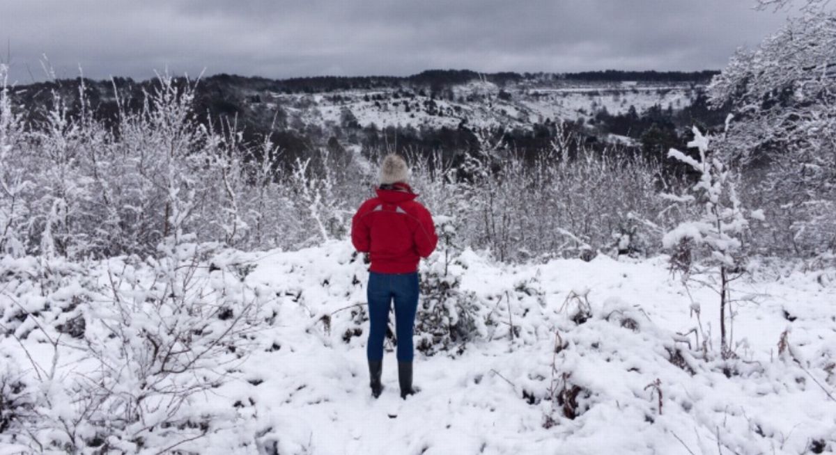 Next UK snow bomb upgraded to 79cm with exact date it starts announced 