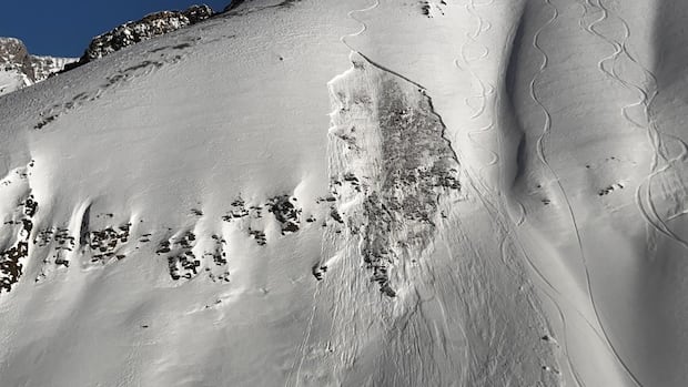 Video shows 'very fortunate' skier escaping injury in avalanche near Lake Louise ski area