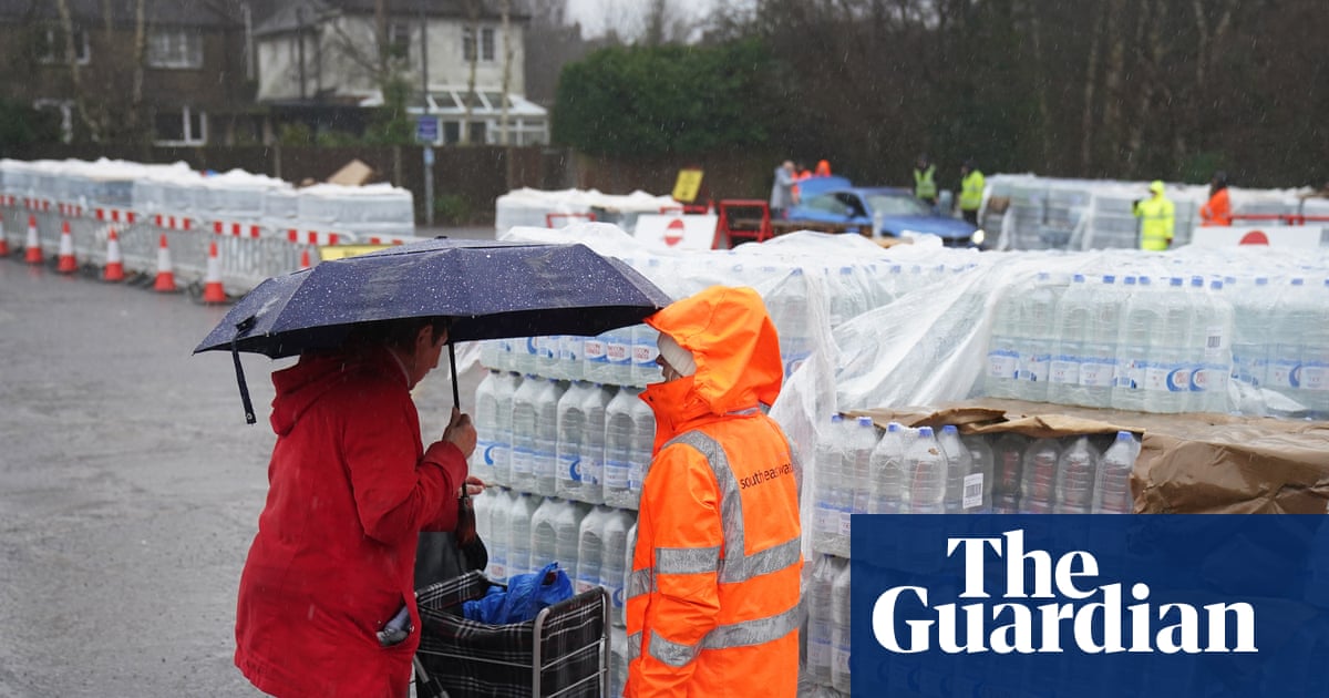 Privatisation not the problem for England’s water, says author of review | Water