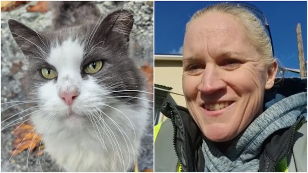 Facing layoffs, B.C. workers rally to save feral cats before pulp mill's closure