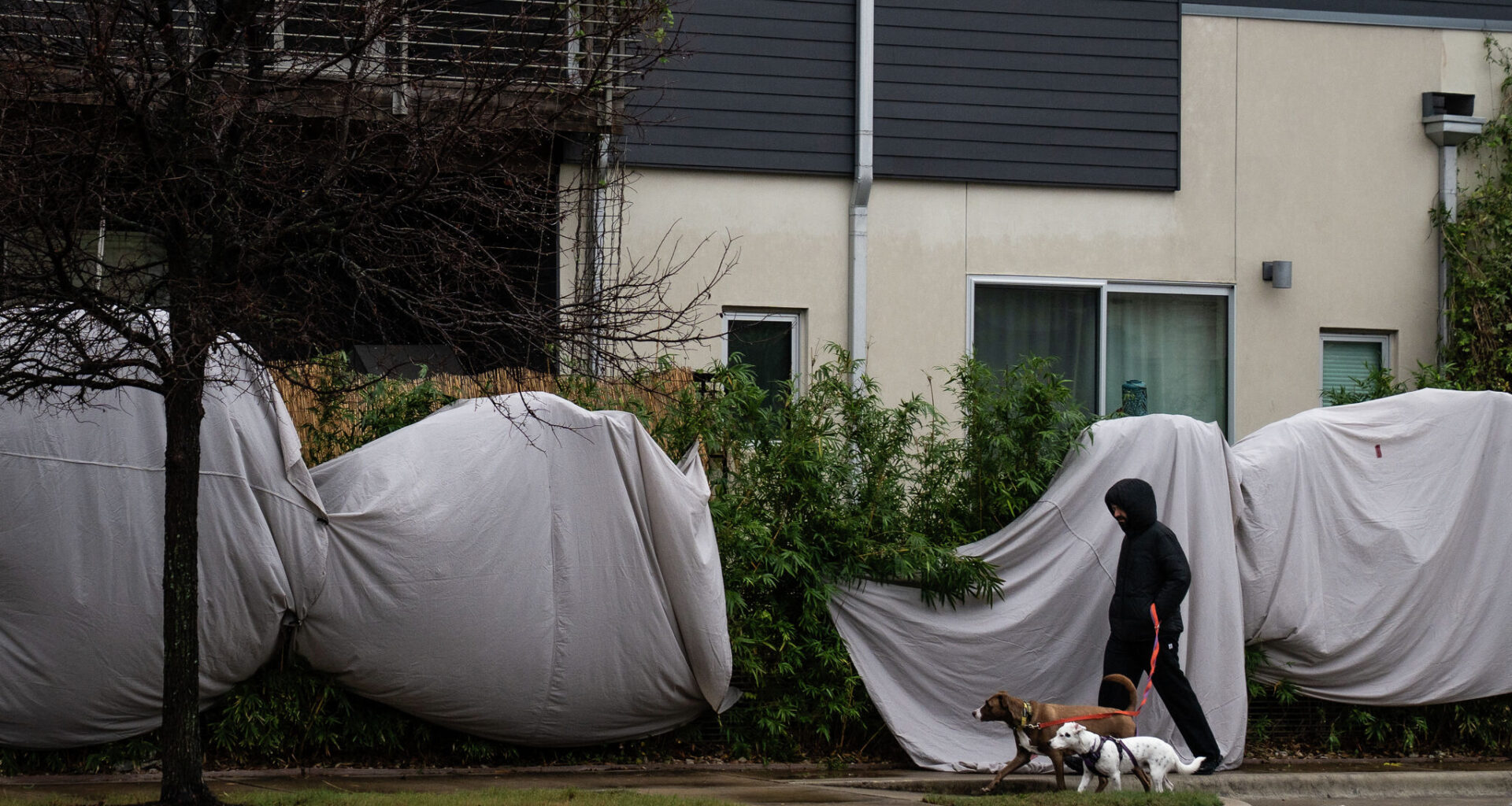 When will freezing weather hit Austin? Here's an hour-by-hour forecast