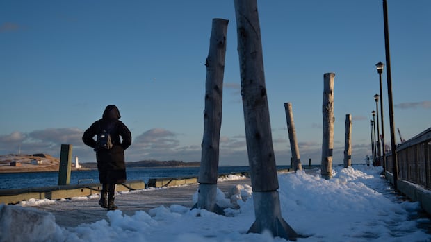 Extreme cold across Canada heaps pressure on utility companies, airlines