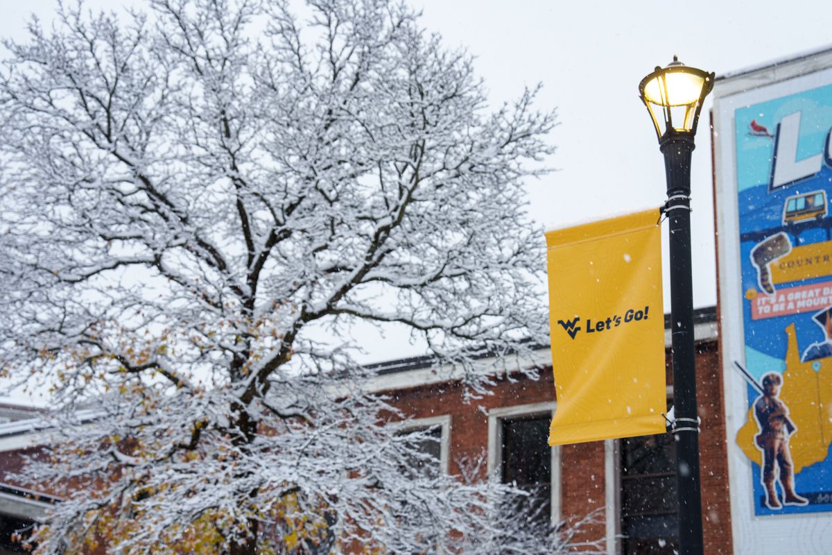 A snowy tree is shown outside the Mountainlair with a gold