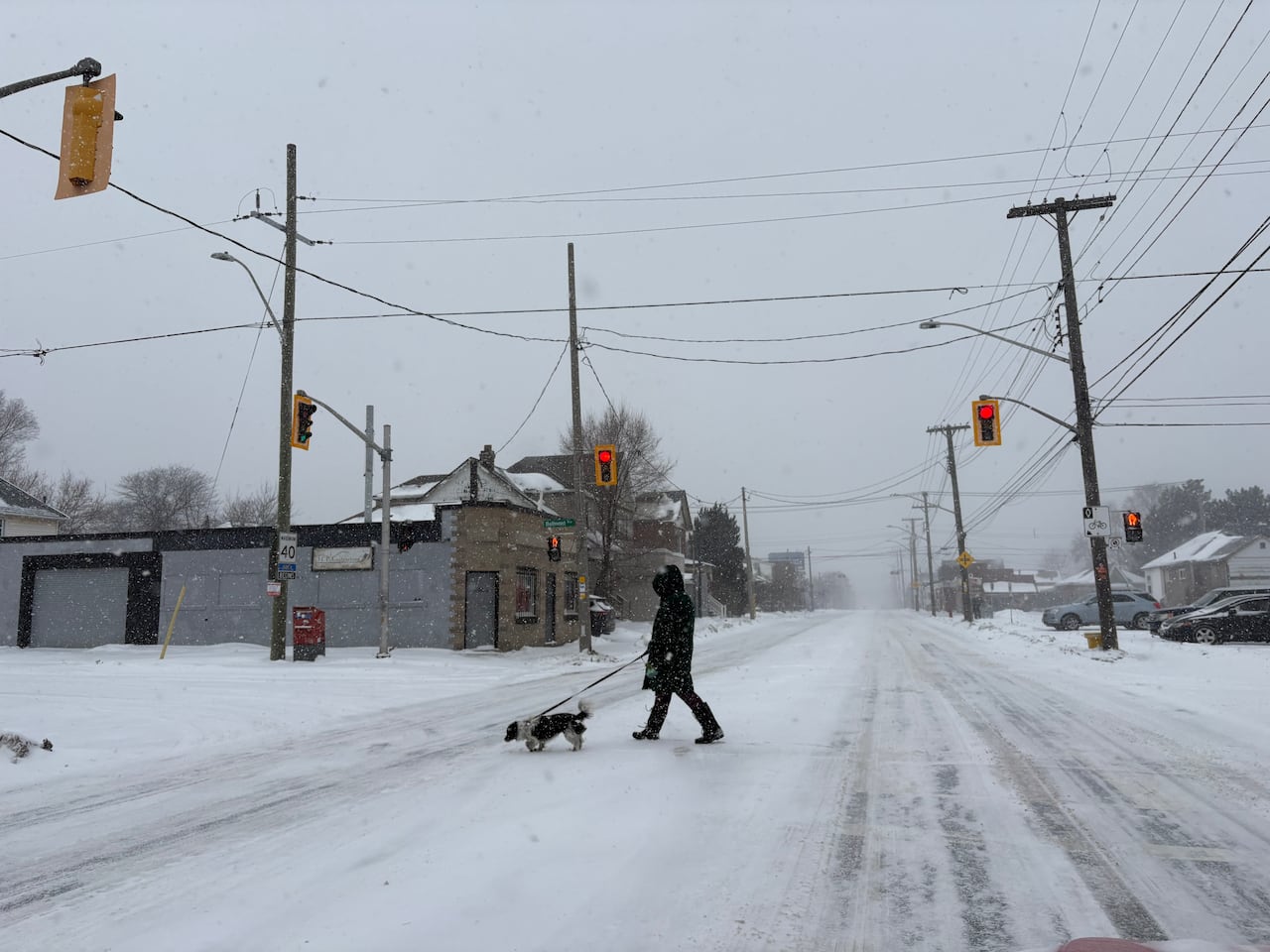 A person is seen walking a dog along Cannon Street E. in east Hamilton on Sunday, Jan. 25, 2026.